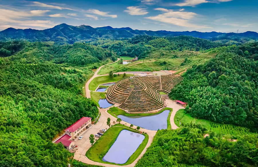 陵園環境